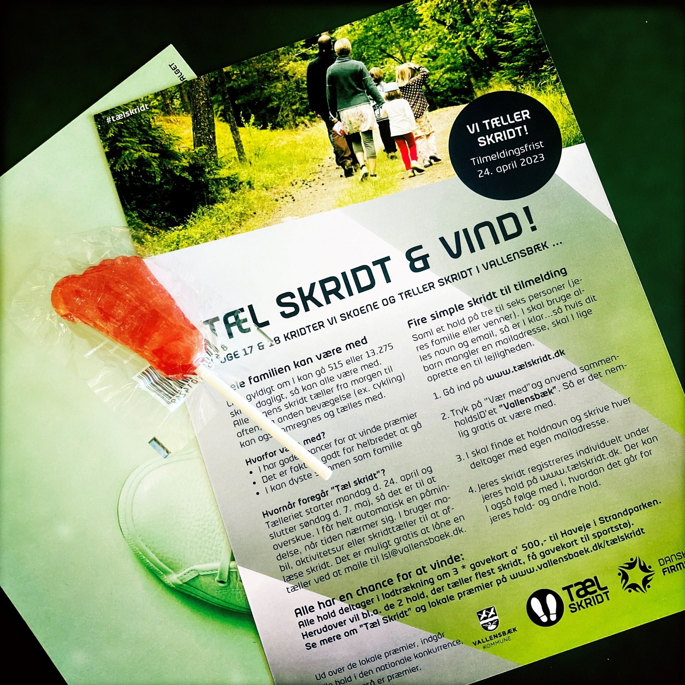 Flyer Slikkepind Min Scaled